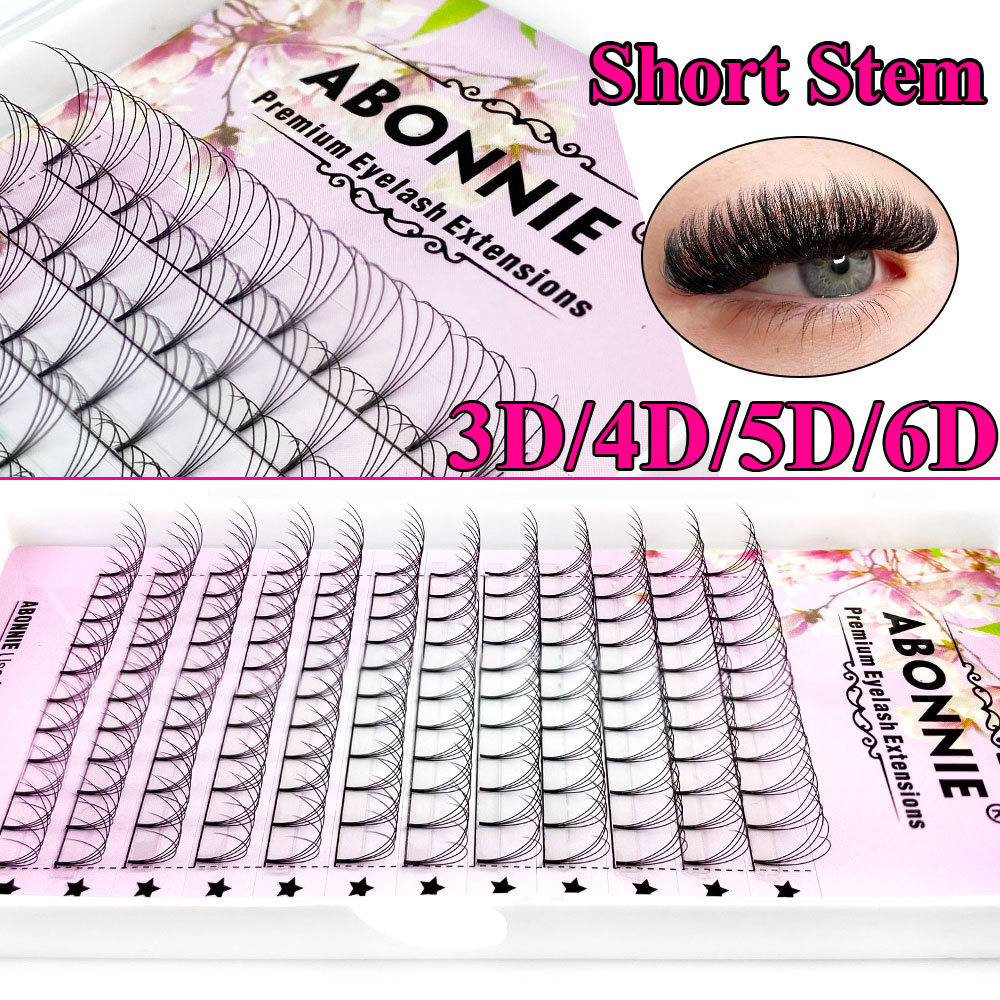 Abonnie 6D Narrow Fan Premade  - Eyelash Extension Japan recension och pris